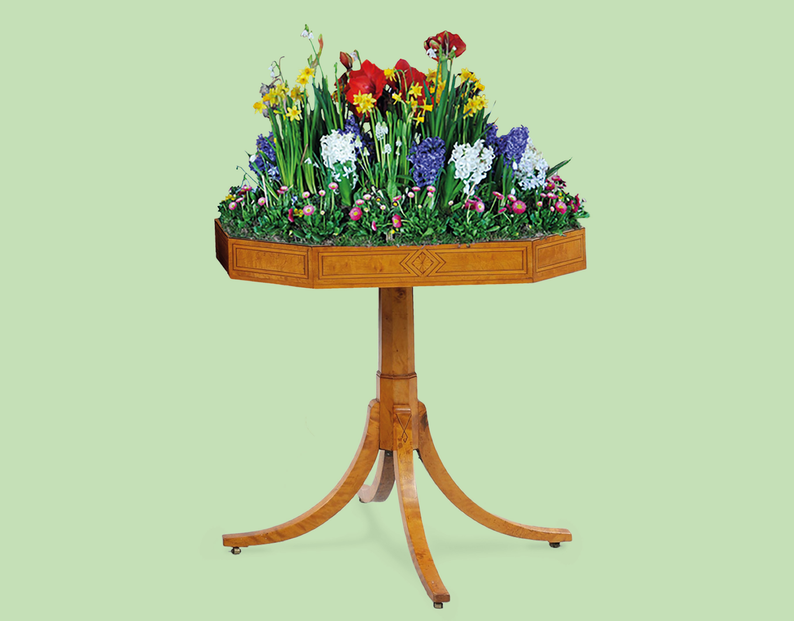 Frühlingserwachen Frühlingserwachen