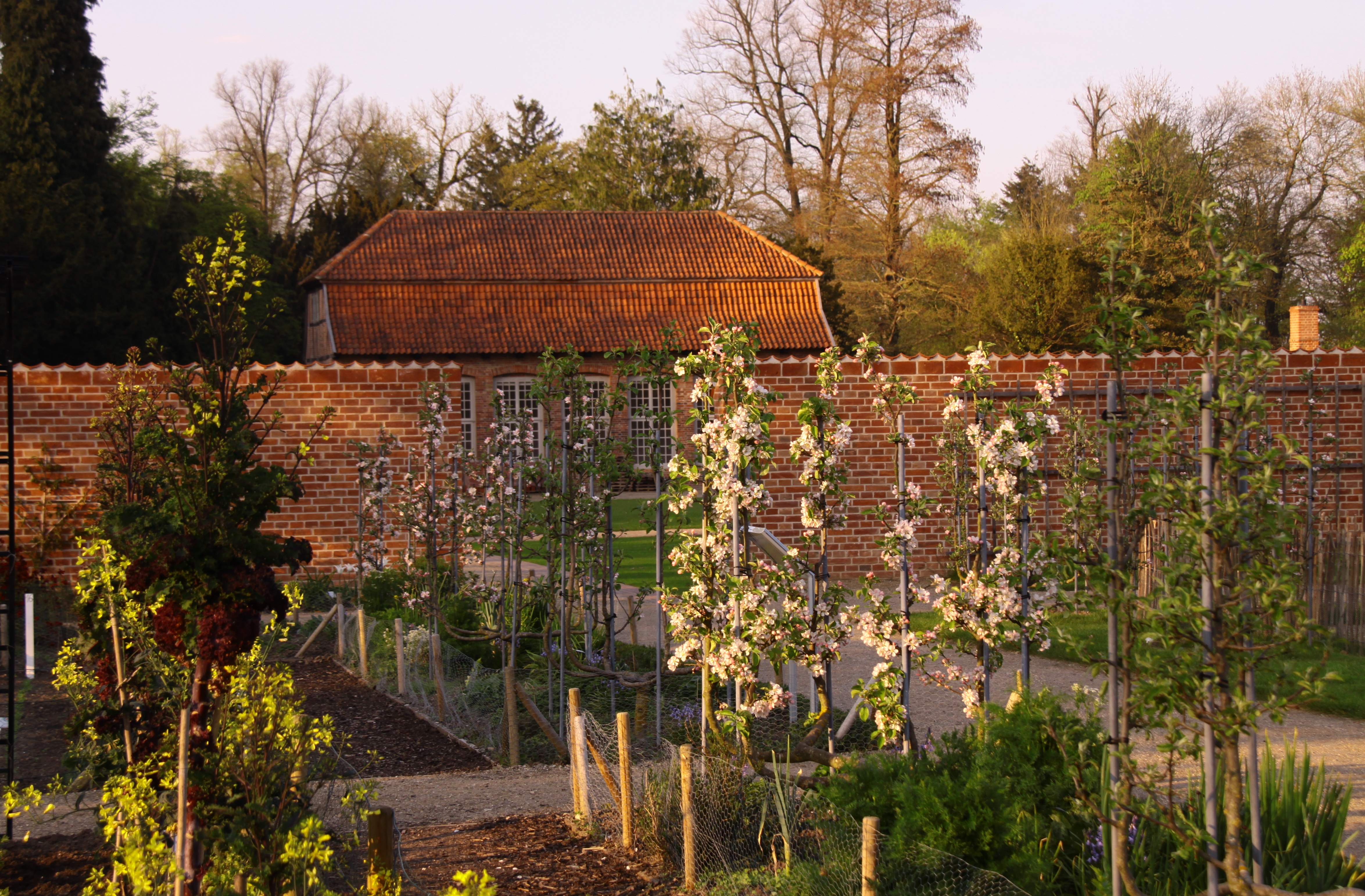 Küchengarten-Spezial