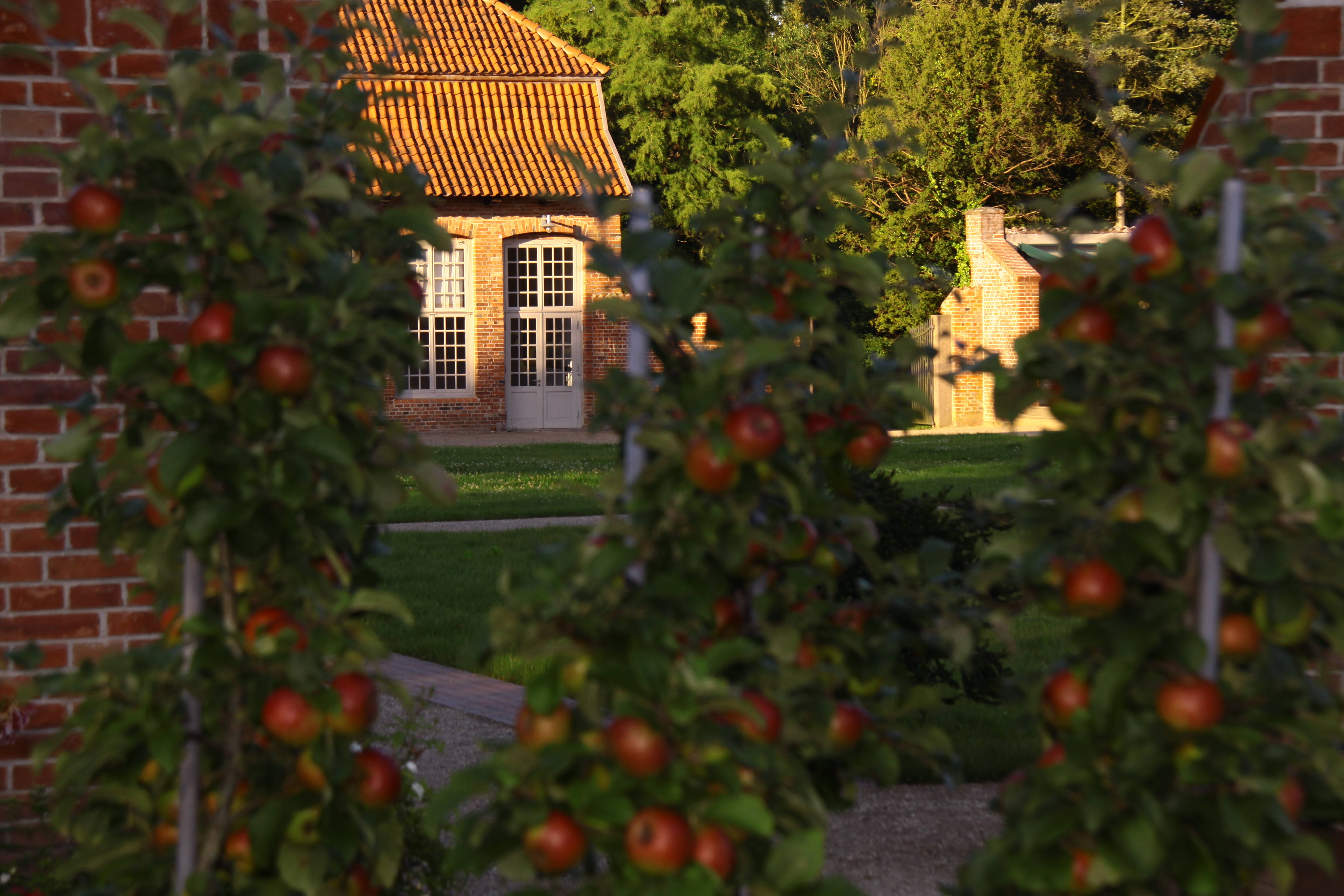 Küchengarten-Spezial